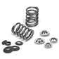 Supertech Ventilfedersatz VW/Audi 2.5L EA855 - SPRK-A2416-5