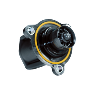 Blowoff Ventil - Audi Originalteil - 2.5 TFSI - 400PS TFSI letzte Revision 06H145710J