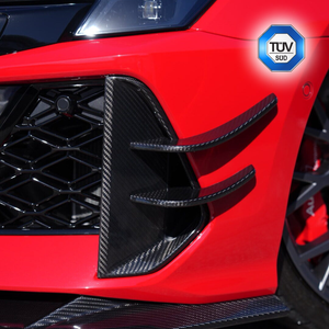 Dry Carbon Canard Einsatz für Audi RS3 8Y Facelift