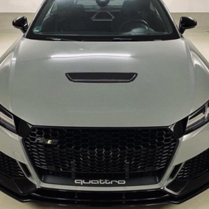 Dry Carbon Motorhauben Einsatz für Audi TTRS 8S