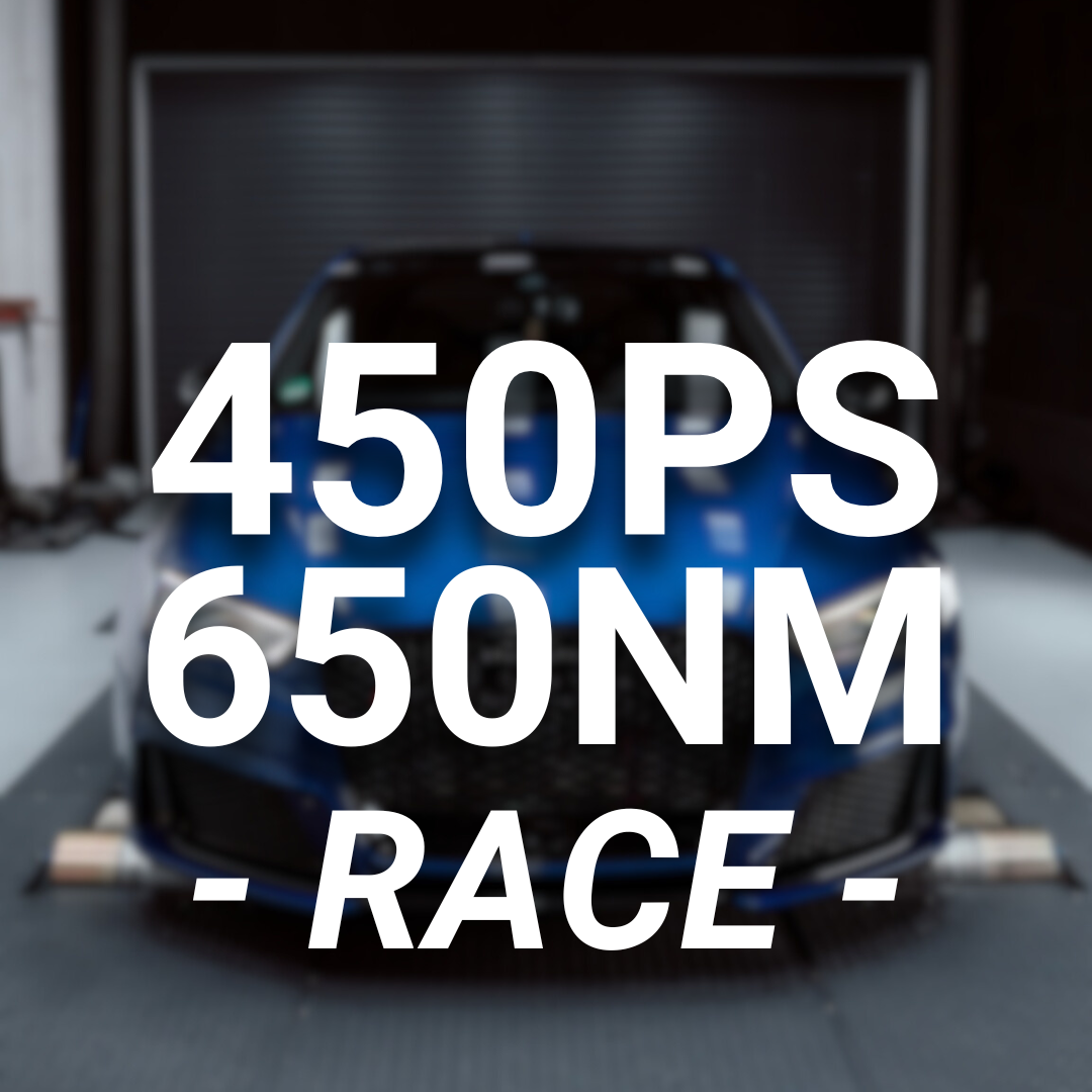 450PS EXPORT BAUSATZ für Audi RS3 8V1 / RSQ3 8U