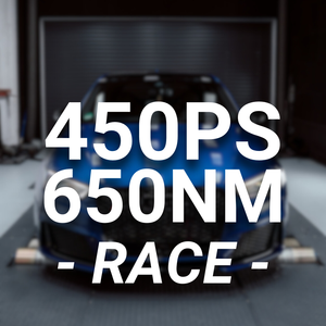 450PS EXPORT BAUSATZ für Audi RS3 8V1 / RSQ3 8U