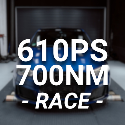 610PS EXPORT KIT - Audi RS3 8V1 / RSQ3 8U