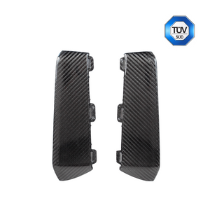 Dry Carbon Frontverkleidung / Lufteinlass für Audi RS3 8Y