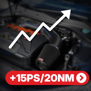 Carbon Ansaugung +15PS / +20NM
