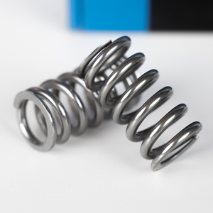 Supertech Ventilfedersatz VAG EA855 EVO (DAZA) - SPRK-A2416-BE-5