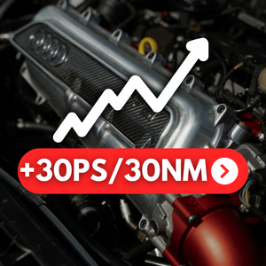 Billet chamber intake manifold lower + upper part - Audi RS3, TTRS, RSQ3, VZ5