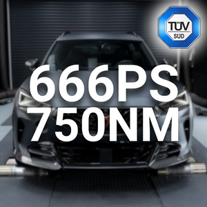 Stage 4 - 666PS with TÜV for Cupra Formentor VZ5