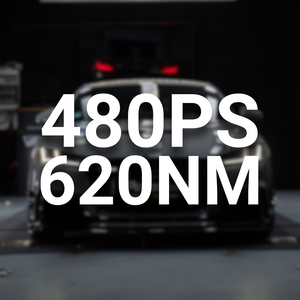 Stufe 1 - 480PS mit TÜV für Audi TTRS 8S - DAZA