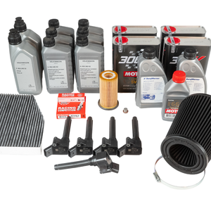 Servicepaket / Inspektionspaket 4 mit Motul 300V für Audi RS3 8Y + FL